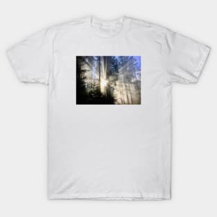 Sun rays forest / Swiss Artwork Photography T-Shirt
